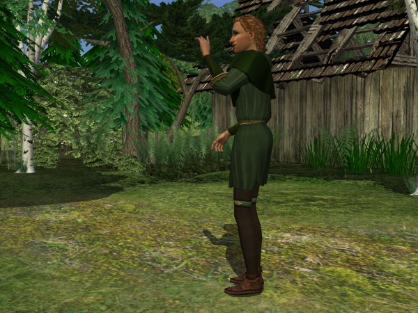 'Robin Hood tunic - side view'